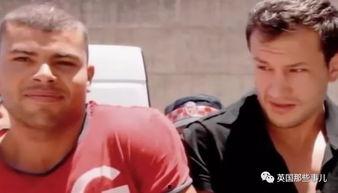 娱乐圈吃瓜群众小说推荐